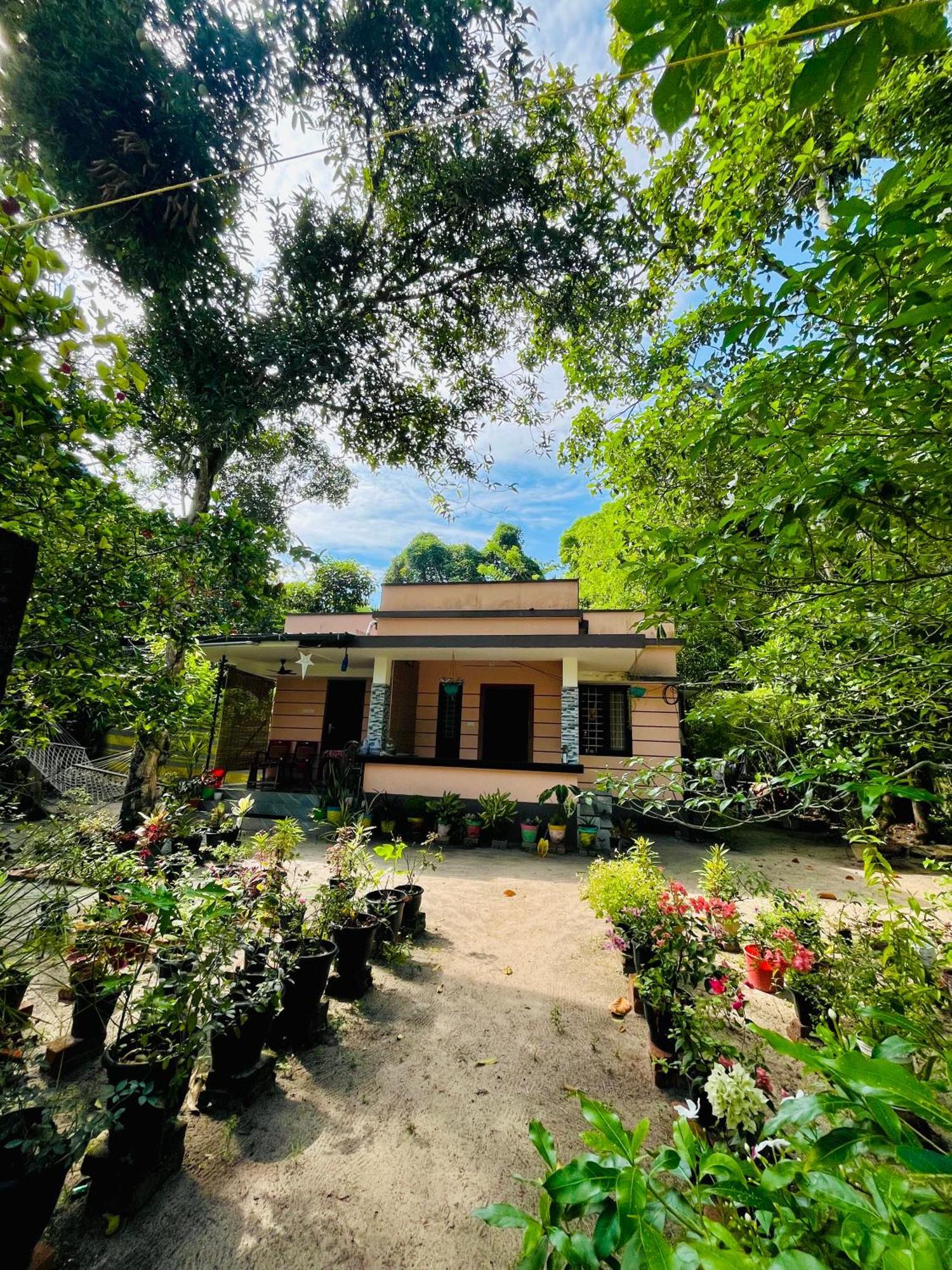 מאראריקולם Marari Kallyani Beach Homestay מראה חיצוני תמונה