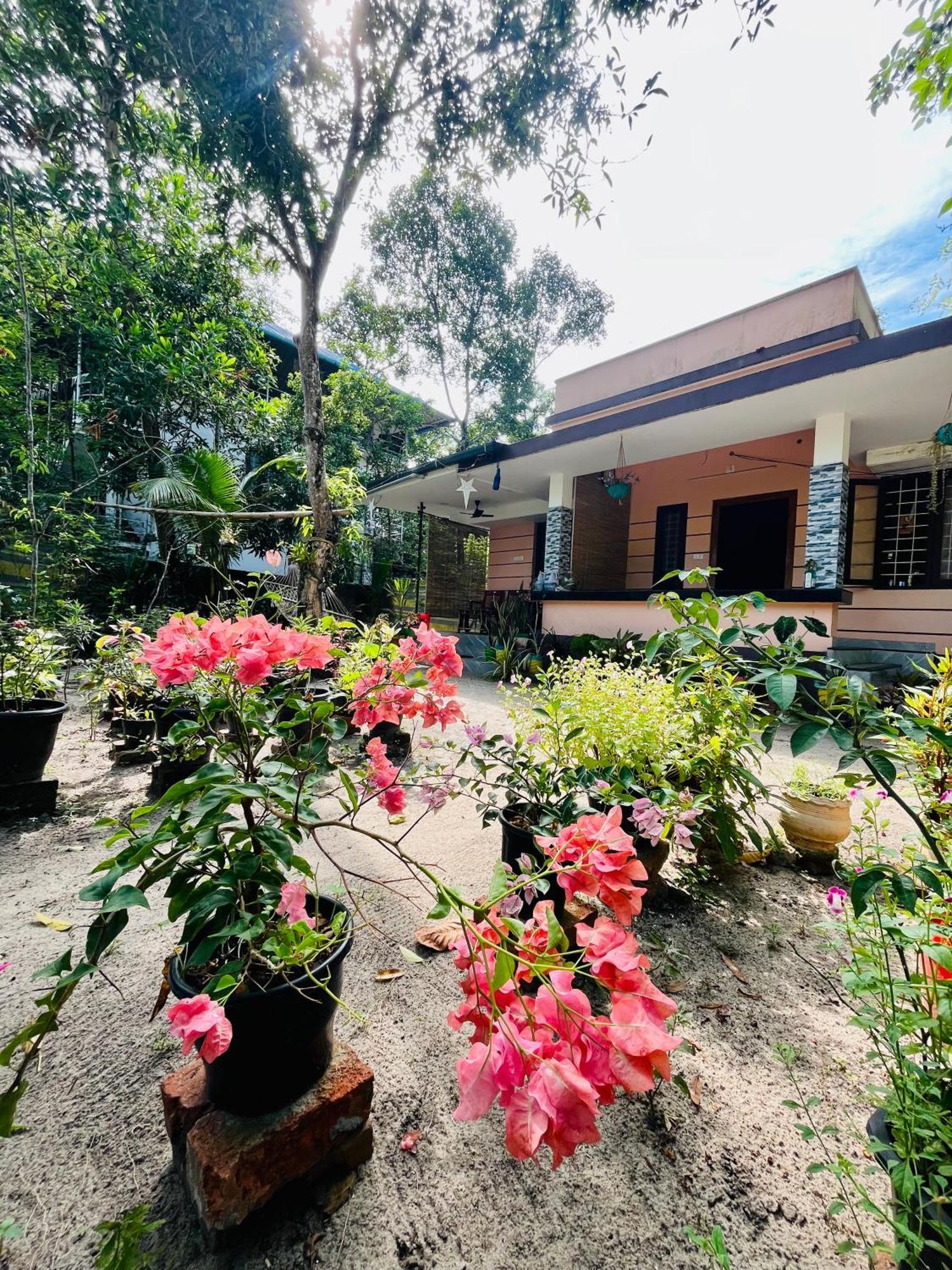 מאראריקולם Marari Kallyani Beach Homestay מראה חיצוני תמונה